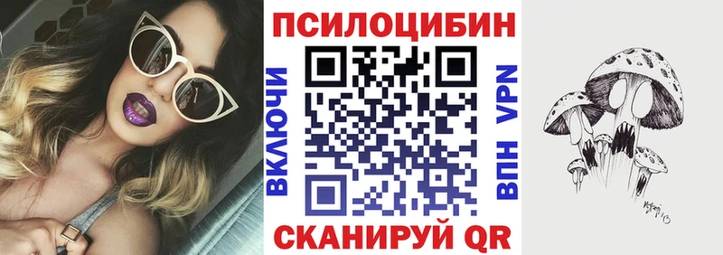 Купить  Городовиковск  Псилоцибиновые грибы Magic Shrooms 