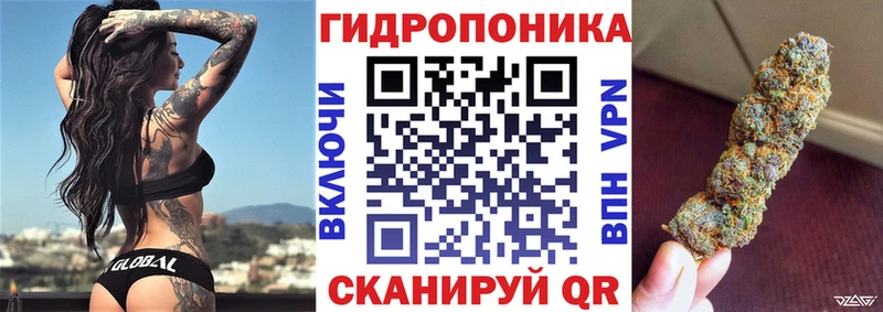 Купить где  Городовиковск  Шишки марихуана ГИДРОПОН 
